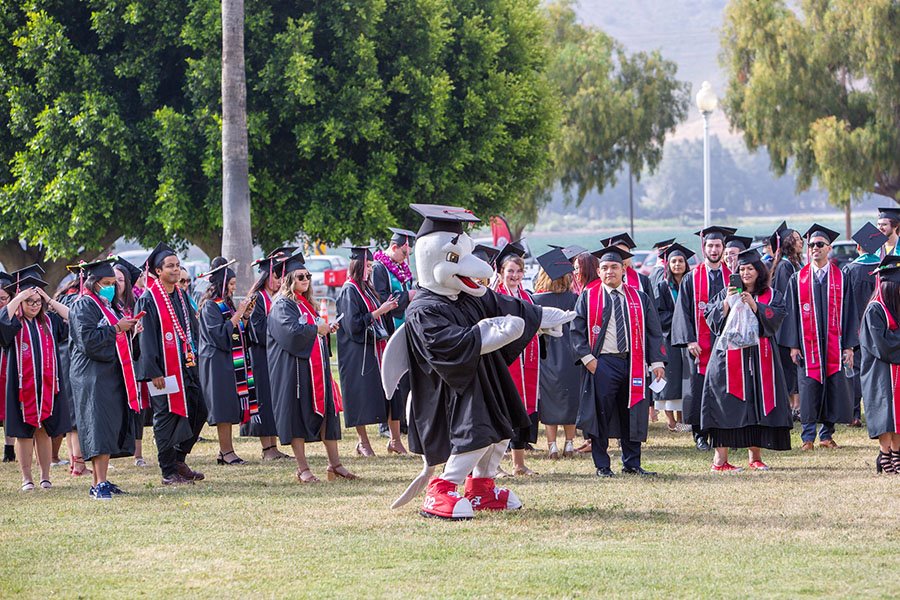 csuci mascot ekho the dolphin and graduating students in cap and gown